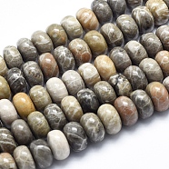 Natural Fossil Coral Beads Strands, Rondelle, 12x7~8mm, Hole: 1mm, about 55pcs/strand, 15.7 inch(G-K256-10D)