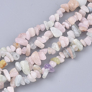 Natural Morganite Beads Strands, Chip, 5~15x5~10x2~7mm, Hole: 1mm, about  245~270pcs/Strand, 33.07~33.85 inch(84~86cm)(X-G-S363-021)