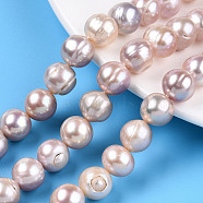 Natural Cultured Freshwater Pearl Beads Strands, Potato, Misty Rose, 10.5~12x9.5~12.5mm, Hole: 0.6mm, about 32~33pcs/strand, 13.78~13.98 inch(35~35.5cm)(PEAR-N013-10B)
