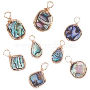 8Pcs 4 Styles Natural Abalone Shell/Paua Shell Pendants, Eco-Friendly Copper Wire Wrapped Shell Charm, Rectangle & Square & Teardrop & Flat Round, Real 18K Gold Plated, 16~19x3~15x3~3.5mm, Hole: 1.6~3mm, 2pcs/style(FIND-SZ0003-09)