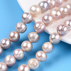 Natural Cultured Freshwater Pearl Beads Strands, Potato, Misty Rose, 10.5~12x9.5~12.5mm, Hole: 0.6mm, about 32~33pcs/strand, 13.78~13.98 inch(35~35.5cm)(PEAR-N013-10B)