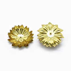 Brass Bead Caps, Cadmium Free & Lead Free, Flower, Raw(Unplated), 30x12mm, Hole: 0.8mm(KK-G351-10C)