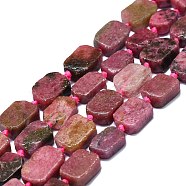 Natural Rhodonite Beads Strands, Rectangle, 15~17x10~13x5~7mm, Hole: 1mm, about 22pcs/strand, 15.94 inch(40.5cm)(G-K245-J17-01)