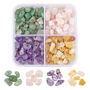 60G 4 Style Natural Mixed Gemstone Beads, Chip, 2~11x3~9.5x2~10mm, Hole: 1mm, 15g/style(G-FS0002-18A)