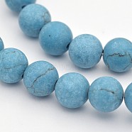 Synthetic Turquoise Round Beads Strands, Frosted, Sky Blue, 8mm, Hole: 1mm, about 48pcs/strand, 15.3 inch(G-D658-8mm)