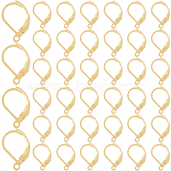 304 Stainless Steel Leverback Earring Findings, with Loop, Real 24K Gold Plated, 15x10x2mm, Hole: 1.4mm, Pin: 1x0.8mm, 60Pcs/box(STAS-SP0001-06A)