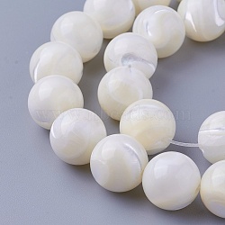 Shell Beads Strands, Round, 12~12.3mm, Hole: 1.5mm, about 32pcs/strand, 15.27 inch(38.8cm)(SSHEL-E571-39-12mm)