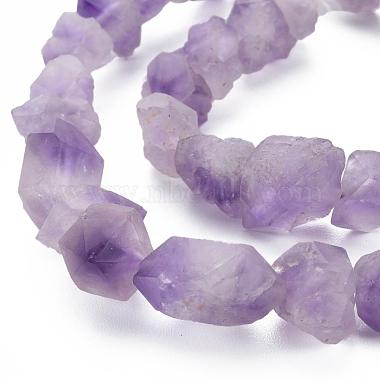 Raw Rough Natural Amethyst Beads Strands(G-N0326-028)-3