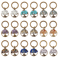 Gemstone Chip Flat Round with Tree of Life Pendant Keychain, with Alloy Split Key Rings, 5.4cm, 9 color, 2pcs/color, 18pcs/set(KEYC-AB00027)