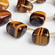 Teardrop Natural Tiger Eye Beads Strands, Top Drilled Beads, 15~30x11~20mm, Hole: 1mm, about 17pcs/strand, 15.7 inch(G-D771-05)