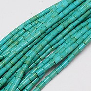 Synthetic Turquoise Beads Strands, Dyed, Column, Light Sea Green, 6x4mm, Hole: 1mm, about 64pcs/strand, 15.5 inch(X-TURQ-G120-4x6mm-13)