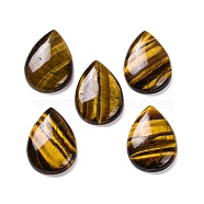 Natural Tiger Eye Cabochons, Teardrop, 29.5~30x21~22x6~6.5mm(G-B085-03B-07)