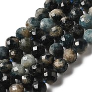 Natural Grade AB Blue Tourmaline Beads Strands, Indicolite Beads, Round, Sharp Flat Faceted, 6mm, Hole: 0.5mm, about 62pcs/strand, 15.35''(39cm)(G-I362-01A)