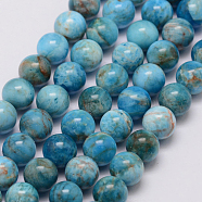 Natural Apatite Beads Strands, Grade AB, Round, 8mm, Hole: 1mm, about 49pcs/strand, 14.9 inch(38cm)(G-I254-08C)