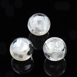 Transparent Acrylic Cabochons, with Shell, Round, White, 12x11mm(TACR-N006-78A)