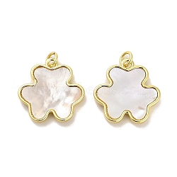 Brass Pave Shell Pendants, Clover Charms with Jump Ring, Real 18K Gold Plated, 20.5x20x3mm, Hole: 3.5mm(KK-K365-08A-G)