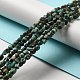 Natural African Turquoise(Jasper) Beads Strands(G-D081-A05)-5