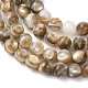 Natural Freshwater Shell Beads Strands(SHEL-K006-71A)-3