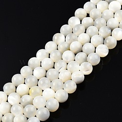 Natural White Shell Bead Strands, Round, 6mm, Hole: 1mm, about 67pcs/strand, 15.16 inch~14.96 inch(38~38.5cm)(SSHEL-N003-144E-01)