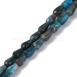 Natural Apatite Beads Strands, Faceted, Teardrop, 5.5~8.3x4.1~4.35mm, Hole: 0.5mm, about 30pcs/strand, 7.48 inch(19cm)(G-C080-B06-01A)