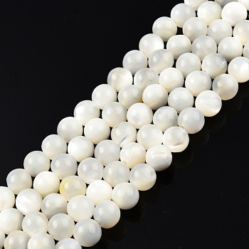 Natural White Shell Bead Strands, Round, 6mm, Hole: 1mm, about 67pcs/strand, 15.16 inch~14.96 inch(38~38.5cm)