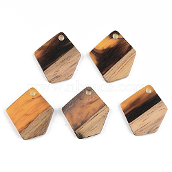 Resin & Walnut Wood Pendants, Polygon, Orange, 21x18.5x3mm, Hole: 2mm(RESI-S389-033A-A01)