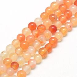 Natural Carnelian Beads Strands, Round, 6~6.5mm, Hole: 1mm, about 63pcs/strand, 15.5 inch(G-Q462-6mm-45)
