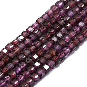 Natural Garnet Beads Strands, Faceted, Cube, 2x2x2mm, Hole: 0.6mm, about 182pcs/strand, 15.16''~15.55''(38.5~39.5cm)