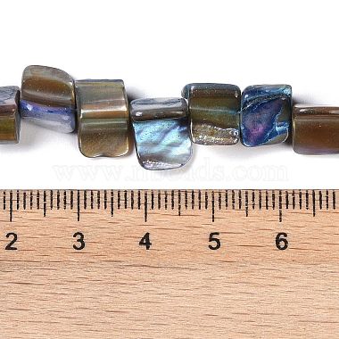 Dyed Natural Freshwater Shell Beads Strands(SHEL-P016-01B)-4