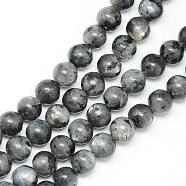 Natural Larvikite Beads Strands, Round, 4~5mm, Hole: 1mm, about 83~95pcs/strand, 14.6~15.3 inch(G-R345-4mm-33)