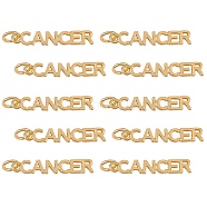 10Pcs Brass Pendants, with Jump Rings, Long-Lasting Plated, Constellation/Zodiac Sign, Golden, Cancer, Cancer: 4x22.5x1.5mm, Hole: 3mm(KK-SZ0004-36L)