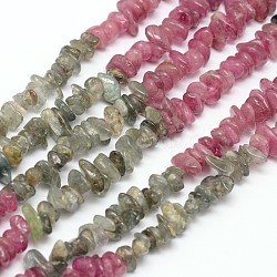 Chips Natural Tourmaline Beads Strands, Mixed Color, 3~5x3~5x3~5mm, Hole: 1mm, about 16 inch(G-N0164-04A)