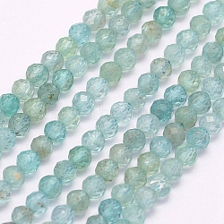 Natural Apatite Beads Strands, Faceted, Round, 2mm, Hole: 0.5mm, about 195pcs/strand, 15.5 inch(39.5cm)(G-I156-05-A)