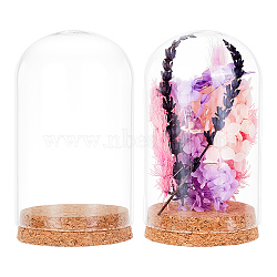 Column Glass Dome Cover, Decorative Display Case, Cloche Bell Jar Terrarium with Cork Base, for DIY Preserved Flower Gift, Clear, 80x145mm(DJEW-WH0039-46B)