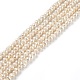 Natural Cultured Freshwater Pearl Beads Strands(PEAR-L033-01)-1