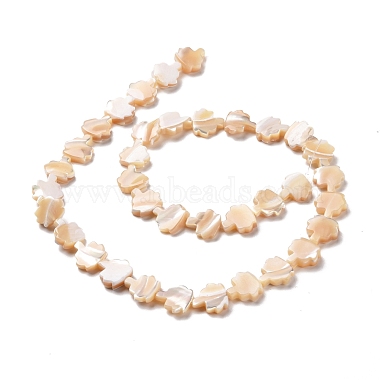 Natural Trochid Shell Beads Strands(SSHEL-G023-09A)-2