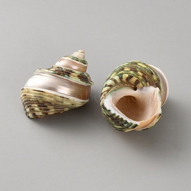 coquille naturelle(FIND-WH0816-035)-2