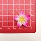 Opaque Resin Cabochons(RESI-R455-01P-01)-1