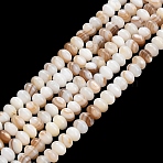 Natural Freshwater Shell Beads Strands, Rondelle, Seashell Color, 5x3~3.5mm, Hole: 0.5mm, about 117pcs/strand, 15.43 inch(39.2cm)(SHEL-C010-04B-01)