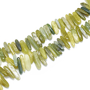 Natural Olive Jade Beads Strands, Chip, 10~30x5~10x3~9mm, Hole: 1mm, about 65~85pcs/strand, 14.9 inch(G-S312-37)