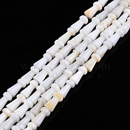 Natural Freshwater Shell Beads Strands, Mushroom, 7.5x4mm, Hole: 0.9mm, about 51pcs/strand, 15.35 inch(39cm)(SHEL-N026-213-A01)