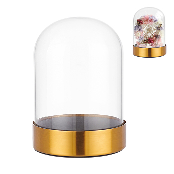 Glass Dome Cover, Decorative Display Case, Cloche Bell Jar Terrarium with 304 Stainless Steel Base, for DIY Preserved Flower Gift, Column, Finished Product: 105x145mm