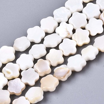 Natural Freshwater Shell Beads Strands, Flower, Bisque, 6x6x2mm, Hole: 0.7mm, about 68pcs/strand, 15.16 inch~15.55 inch(38.5~39.5cm)