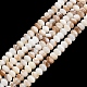 Natural Freshwater Shell Beads Strands(SHEL-C010-04B-01)-1