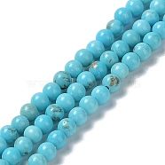 Natural Howlite Beads Strands, Dyed, Round, 3~3.5mm, Hole: 0.8mm, about 123pcs/strand, 15.47''(39.3cm)(G-E604-B04-B)