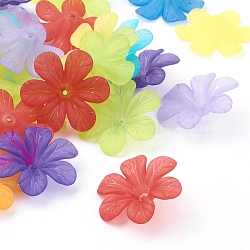 Mixed Color Transparent Frosted Acrylic Flower Beads, about 33mm in diameter, 8mm thick, Hole: 1.5~2mm(X-PAF154Y)