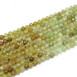 Natural Green Garnet Beads Strands, Andradite Beads, Faceted, Round, 3mm, Hole: 0.6mm, about 139pcs/strand, 14.96 inch(38cm)(G-G823-19-3mm)