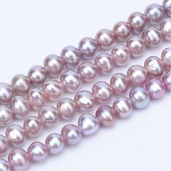 Natural Cultured Freshwater Pearl Beads Strands, Round, Old Rose, 3~3.5mm, Hole: 0.8mm, about 113pcs/strand, 14.17 inch