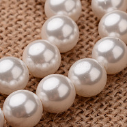 Polished Round Grade A Shell Pearl Bead Strands, Seashell Color, 10mm, Hole: 1mm, about 37~39pcs/strand, 15.7 inch(BSHE-M027-10mm-28)