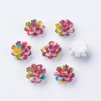Spray Painted Resin Cabochons, Flower, Saddle Brown, 10x6.5mm